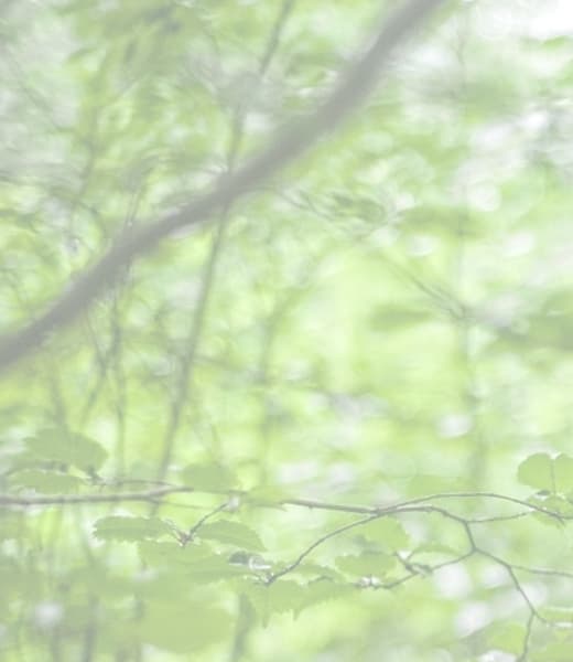 HIGH-QUALITY SELECTION